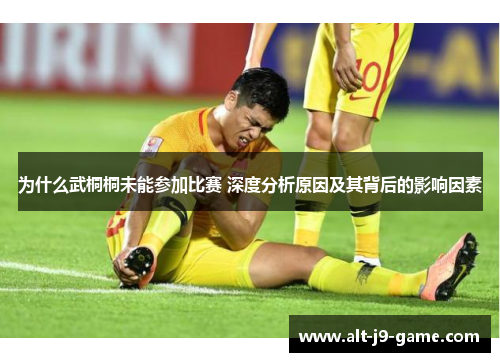 为什么武桐桐未能参加比赛 深度分析原因及其背后的影响因素