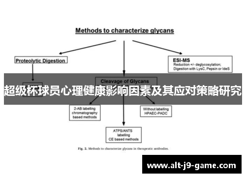 超级杯球员心理健康影响因素及其应对策略研究